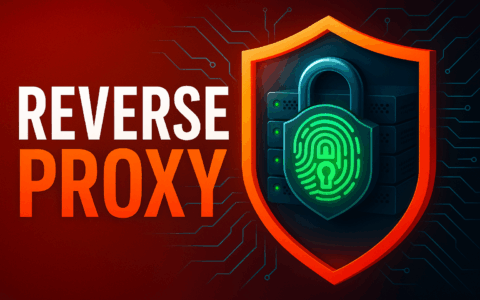 What Is a Reverse Proxy? A Guide to Proxy Servers and Their Benefits